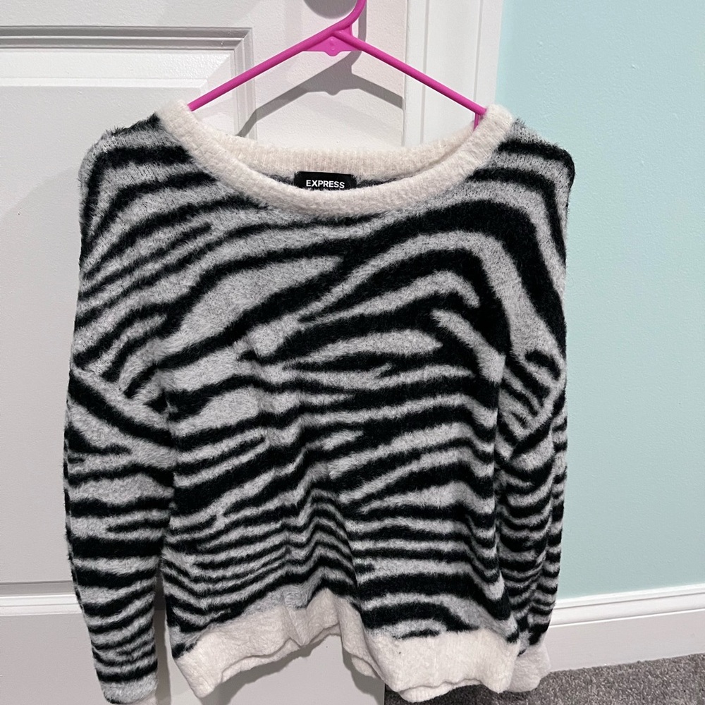 Express Zebra Patterned Sweater